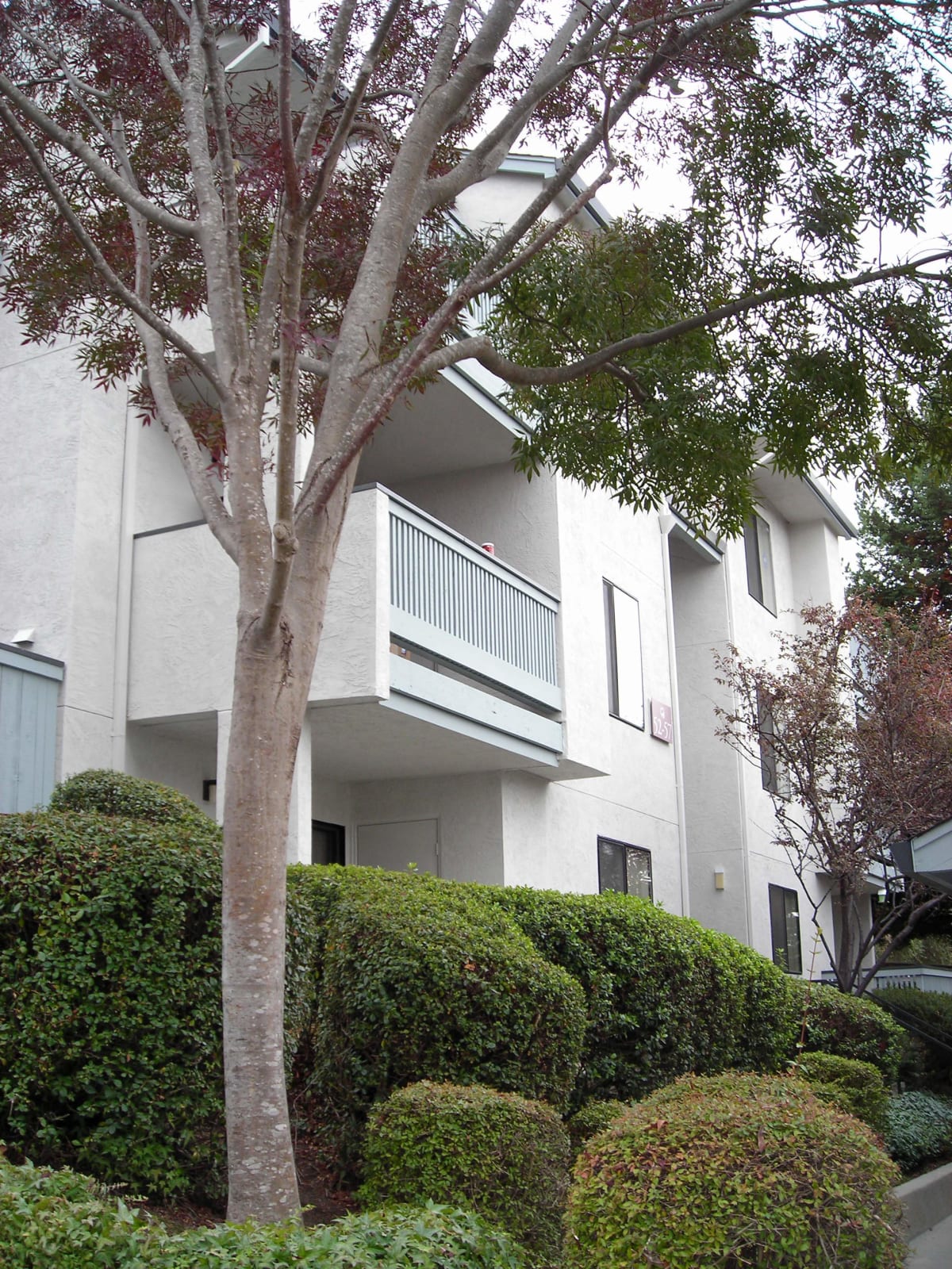 Photos and Video of Ridgecrest Apartments in Hayward, CA